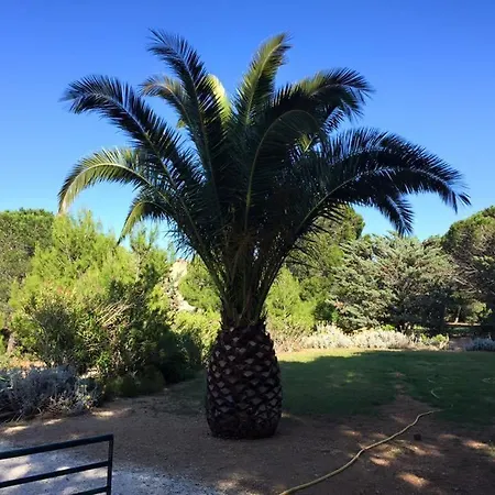 - Port - Grand Duplex Dans Domaine Prive